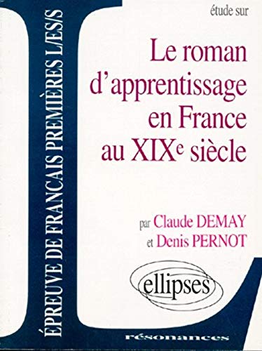 Beispielbild fr Le roman d'apprentissage en France au XIXe sicle zum Verkauf von Ammareal