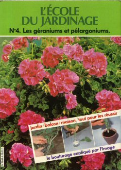 9782730903035: L'cole du jardinage n 4 - Les graniums et plargoniums