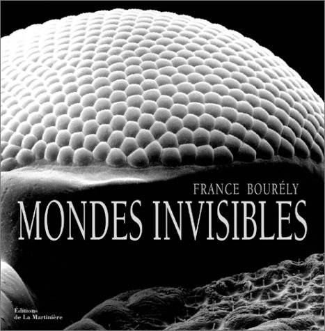 Beispielbild fr Mondes Invisibles : loge De La Beaut Cache zum Verkauf von RECYCLIVRE