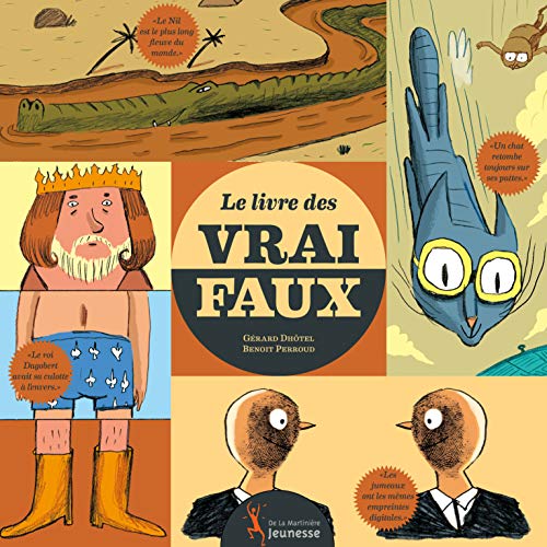 Stock image for Le Livre des vrai faux for sale by Ammareal