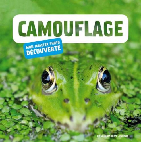 Beispielbild fr Camouflage zum Verkauf von medimops