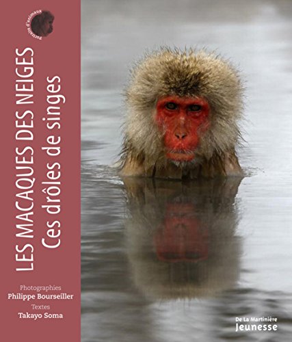 Stock image for Les Macaques des neiges, ces drles de singes for sale by Ammareal