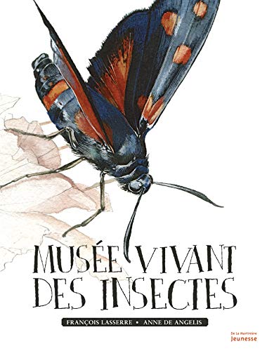 Beispielbild fr Muse vivant des insectes zum Verkauf von medimops