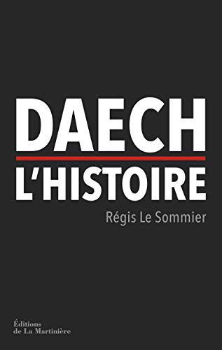 Stock image for Daech, l'histoire for sale by Ammareal