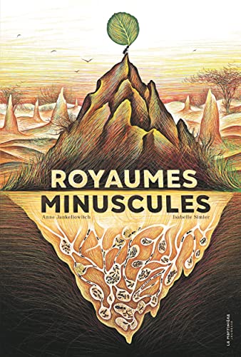 Stock image for Royaumes minuscules for sale by Ammareal