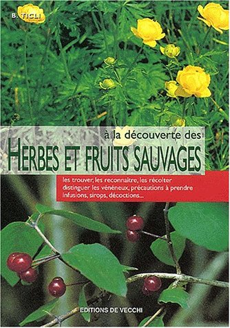 Beispielbild fr A la d couverte des herbes et fruits sauvages zum Verkauf von WorldofBooks