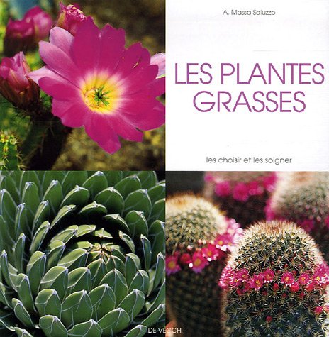 9782732814148: Les plantes grasses (French Edition)