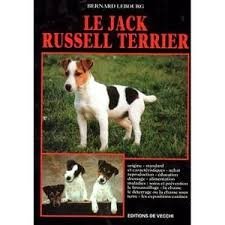 Imagen de archivo de Le jack russell-terrier a la venta por Ammareal