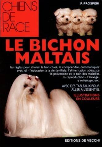 Stock image for Bichon maltais for sale by medimops