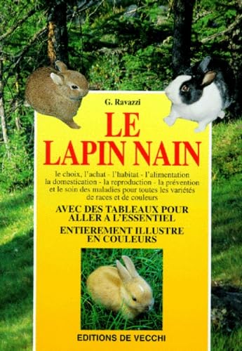 Le lapin Nain