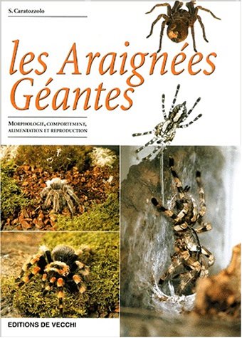 Beispielbild fr Les araignes gantes zum Verkauf von Ammareal