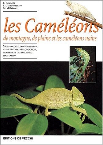 Stock image for Les camlons for sale by A TOUT LIVRE