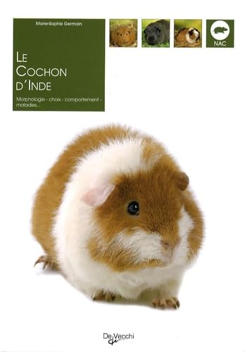 9782732835310: Le cochon d'Inde