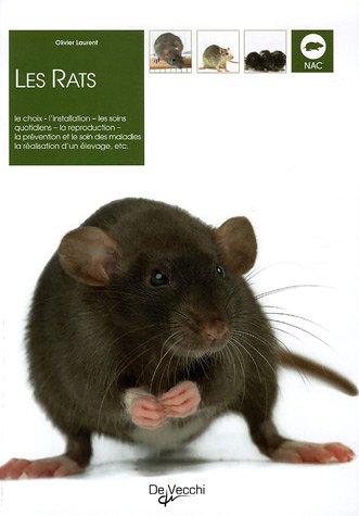 Beispielbild fr Les Rats zum Verkauf von RECYCLIVRE