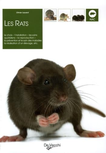 Les Rats