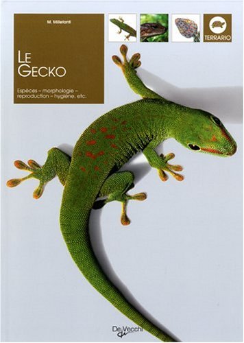 Imagen de archivo de Le Gecko Millefanti, Massimo; Ameli, M; Morel, Sandrine et Delacourt, Fr d ric a la venta por irma ratnikaite