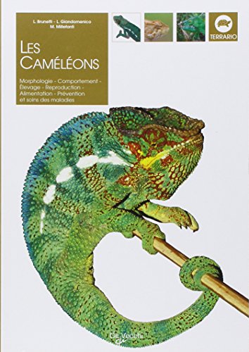 Imagen de archivo de Les Camlons a la venta por RECYCLIVRE