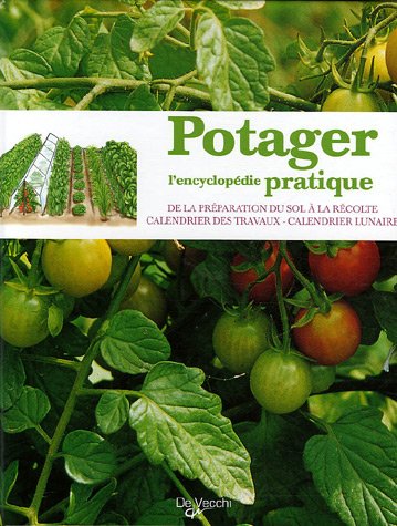 Beispielbild fr Potager : L'encyclopdie pratique zum Verkauf von medimops