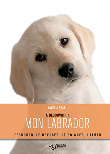 à découvrir mon labrador