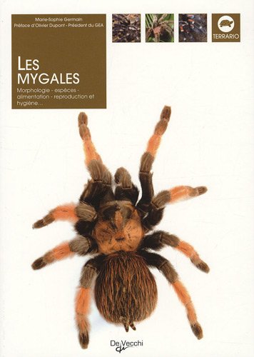 Beispielbild fr Les mygales zum Verkauf von Culture Bis
