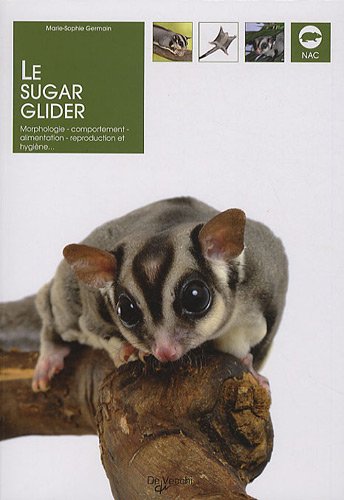 Imagen de archivo de Le sugar glider a la venta por Ammareal