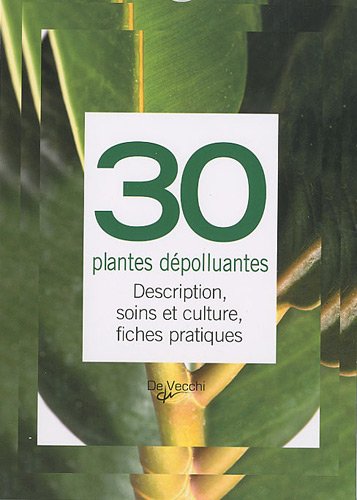 Beispielbild fr 30 plantes dpolluantes: Description, soins et culture, fiches pratiques zum Verkauf von Ammareal