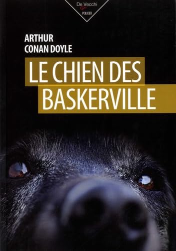 9782732898964: Le chien des Baskerville