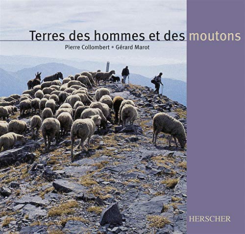 Stock image for Terre, Hommes et Moutons for sale by Ammareal