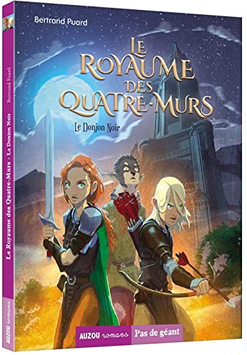 Beispielbild fr LE ROYAUME DES QUATRE-MURS TOME 1 - LE DONJON NOIR zum Verkauf von Librairie Th  la page