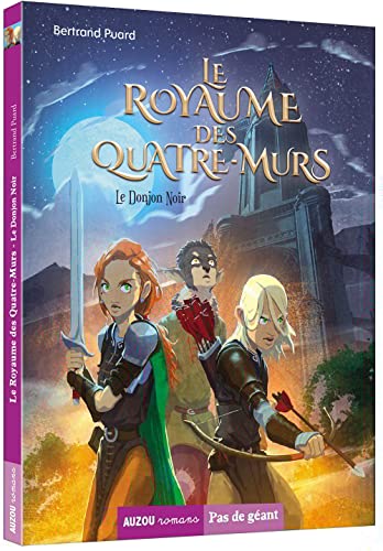 Stock image for LE ROYAUME DES QUATRE-MURS TOME 1 - LE DONJON NOIR for sale by Librairie Th  la page