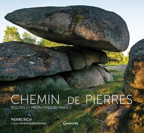 9782733913482: Chemin de pierres: Roches et mgalithes de France