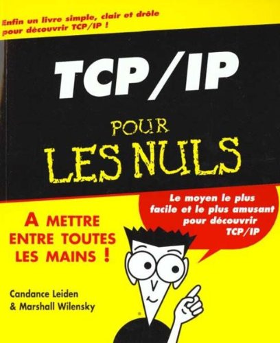 Imagen de archivo de Tcp-ip Pour Les Nuls a la venta por RECYCLIVRE
