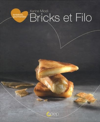 9782737203114: Bricks et filo