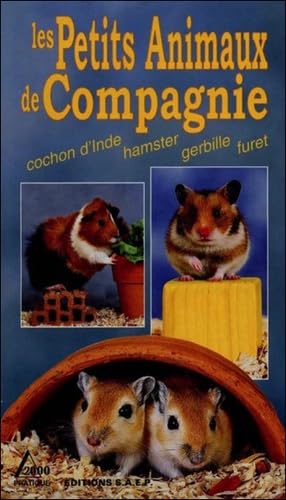 9782737240997: Les petits animaux de compagnie. 1, Cochon d'Inde, hamster, gerbille, furet