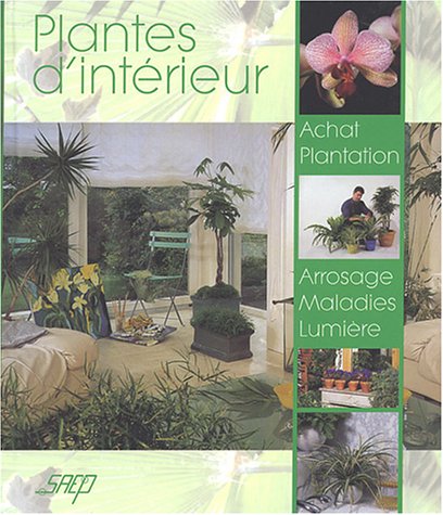 PLANTES D INTERIEUR ACHAT PLANTATION ARROSAGE MALADIES LUMIERE