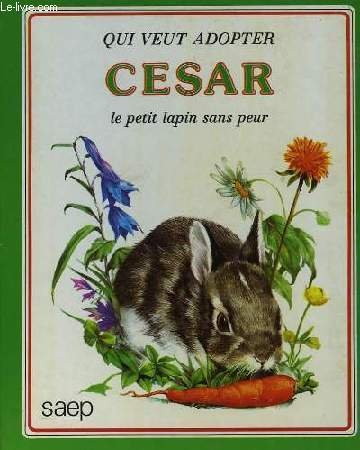 Stock image for Csar, Le Petit Lapin Sans Peur for sale by RECYCLIVRE