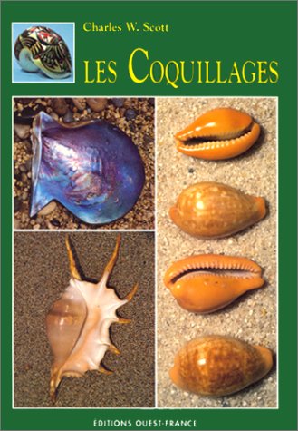 Stock image for Les coquillages for sale by Ammareal