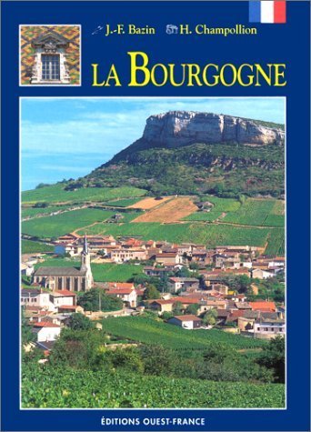 Stock image for Bourgogne for sale by Ammareal