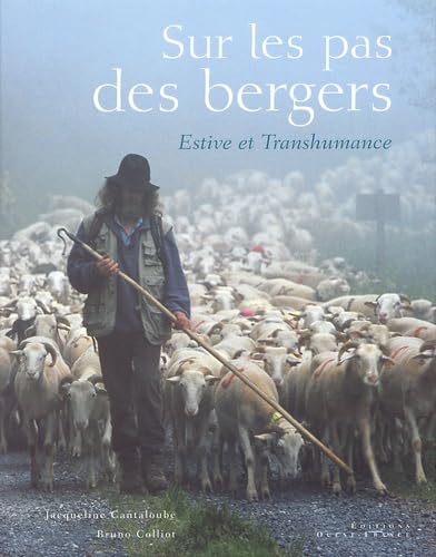 9782737327568: Sur les pas des bergers. Estive et transhumance