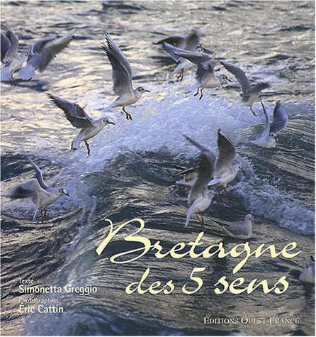 Stock image for Bretagne des 5 sens for sale by Ammareal
