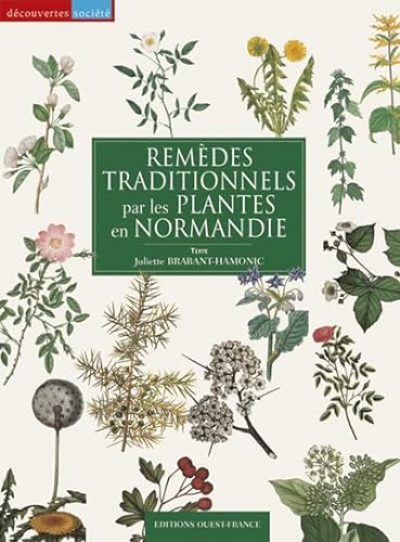 Beispielbild fr Remèdes traditionnels par les plantes en Normandie zum Verkauf von WeBuyBooks