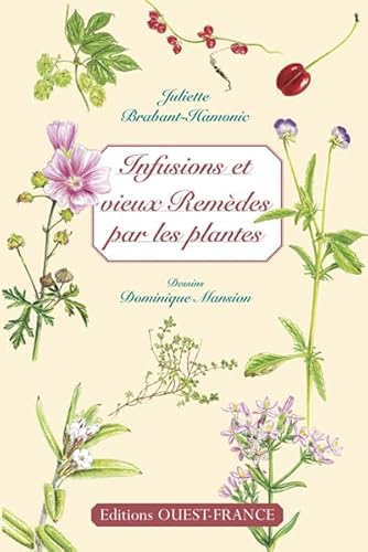 Beispielbild fr Infusion et vieux remdes par les plantes zum Verkauf von Ammareal