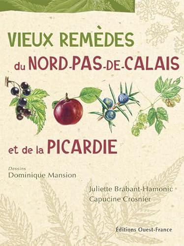 Stock image for Vieux remdes du Nord-Pas-de-Calais et de la Picardie for sale by medimops