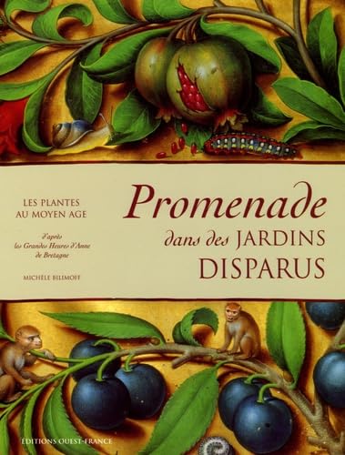 9782737338700: Promenade dans des jardins disparus: Les plantes au Moyen Age d'aprs les Grandes Heures d'Anne de Bretagne