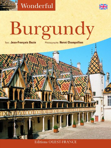 Stock image for Aimer Bourgogne (Angl) (French Edition) for sale by HPB-Diamond
