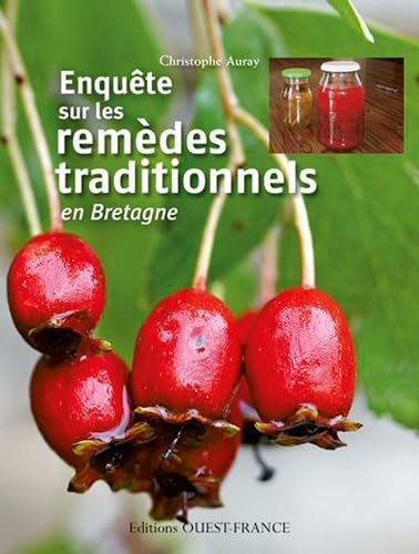 Beispielbild fr Enqute sur les remdes traditionnels en Bretagne zum Verkauf von Ammareal