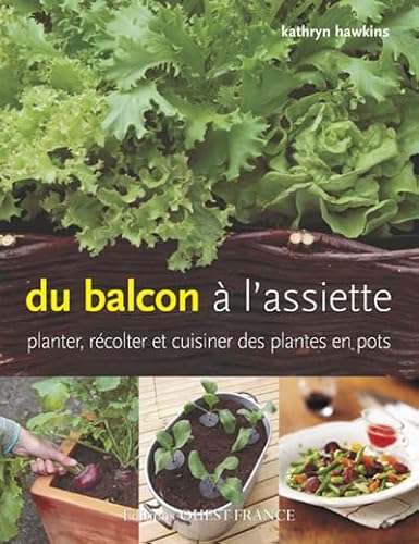 Beispielbild fr Du balcon  l'assiette : Planter, rcolter et cuisiner des plantes en pots zum Verkauf von Ammareal