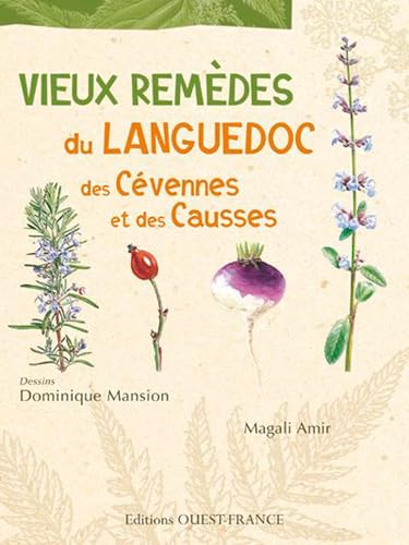 Beispielbild fr Vieux remdes du Languedoc, des Cvennes et des Causses zum Verkauf von medimops