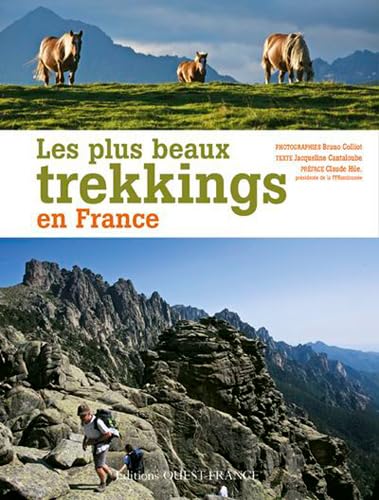 Imagen de archivo de Les plus beaux trekkings en France a la venta por Ammareal