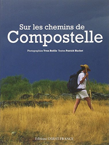 Beispielbild fr Sur les chemins de Compostelle zum Verkauf von Ammareal